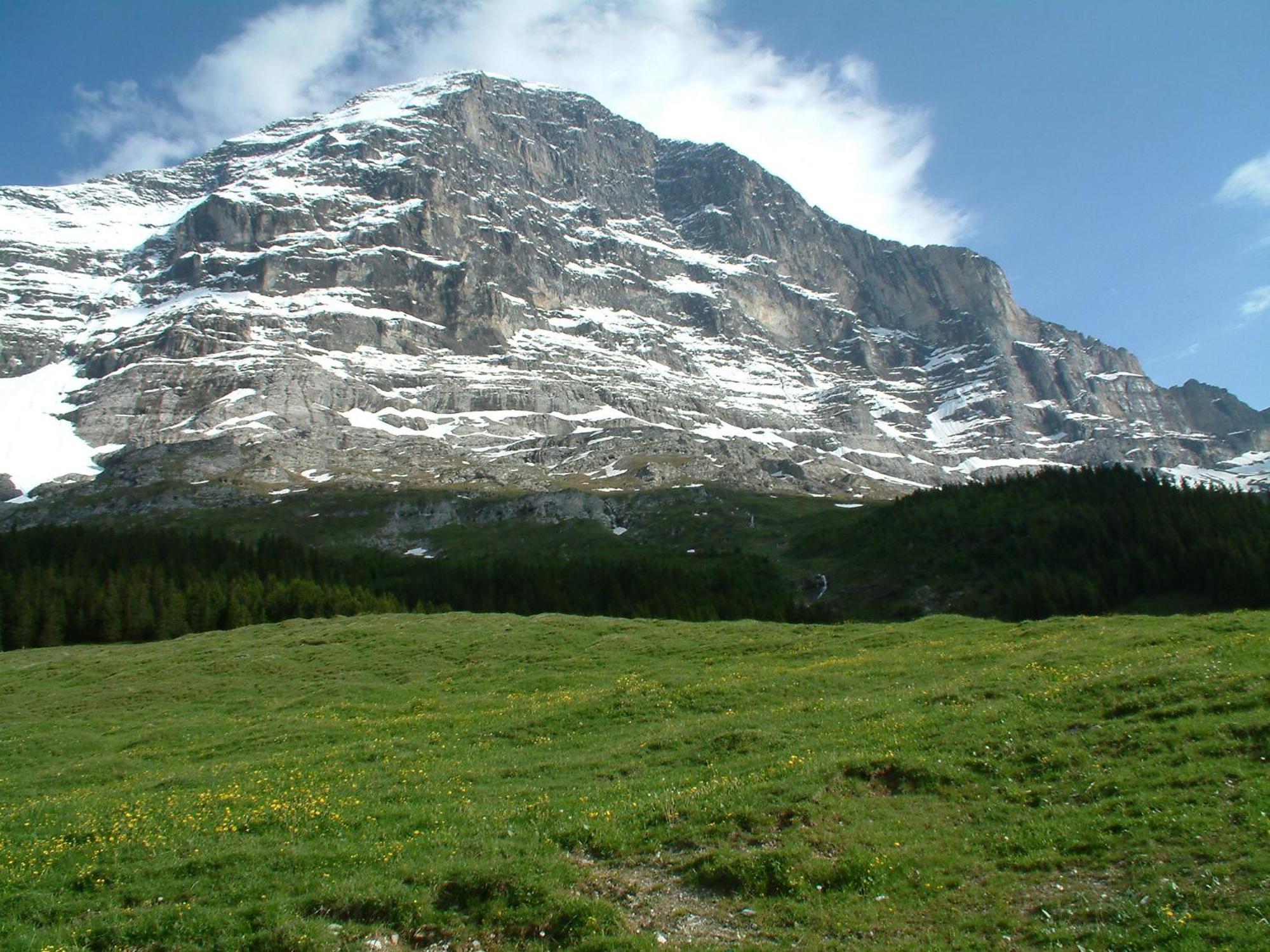 Chalet Schwendiboden Grindelwald Eksteriør bilde